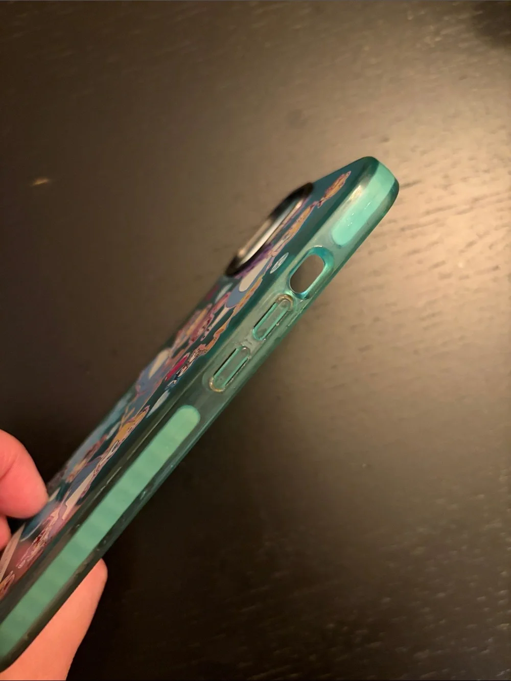 Casetify used